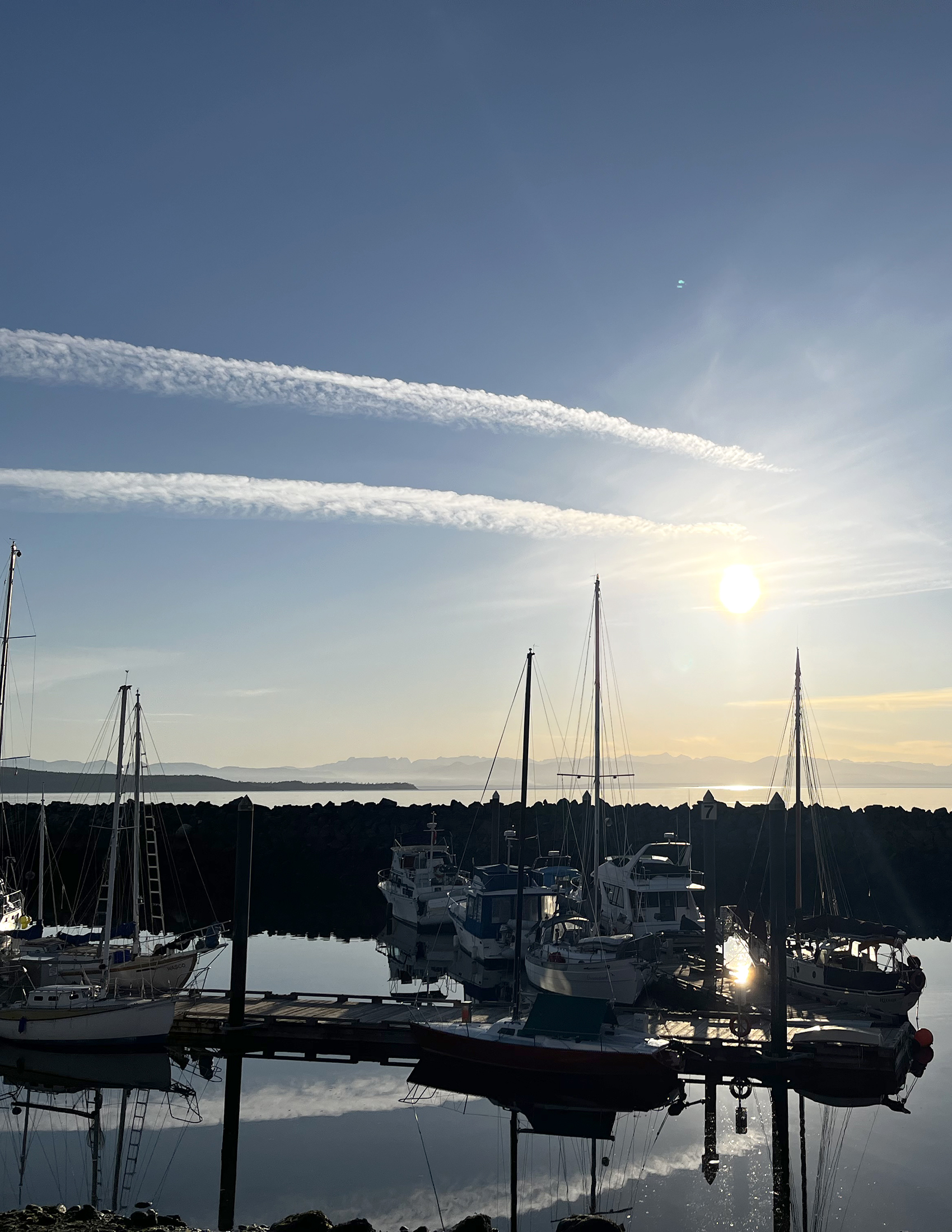 harbour
